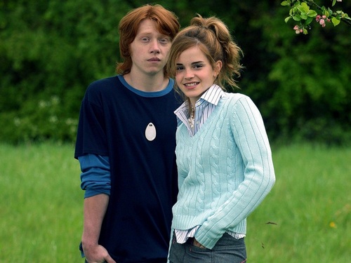  Ron and Hermione 壁纸