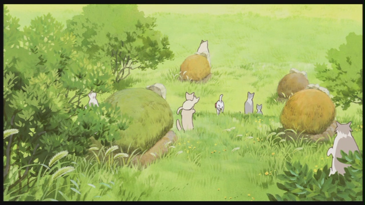 The Cat Returns - Studio Ghibli Image (25648640) - Fanpop