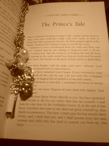  The prince's tale