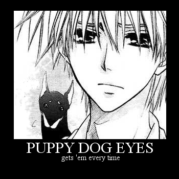 puppy dog eyes...