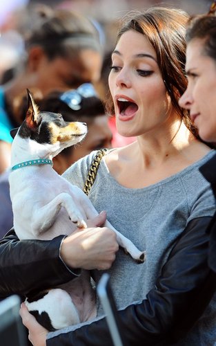  Ashley Greene and her dog Marlow at "Pilates for Pink" (October 2).