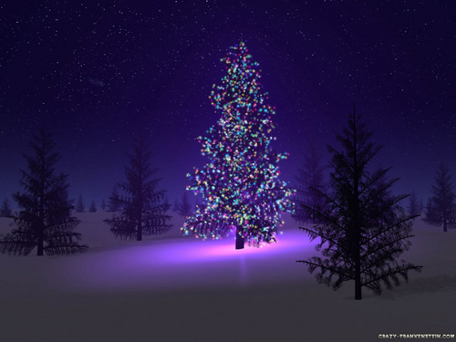  Beautiful 圣诞节 树