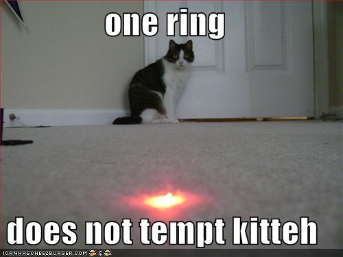 DOES NOT TEMPT THE KITTEH