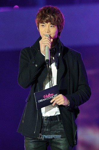  Hallyu Dream buổi hòa nhạc 2011