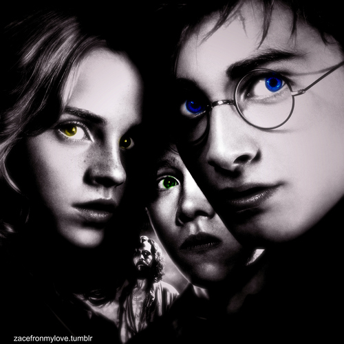  Harry Potter and the Prisoner of Azkaban- Golden Trio & Sirius Black|||