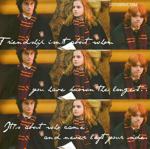  Harry, Ron and Hermione- Goblet of api