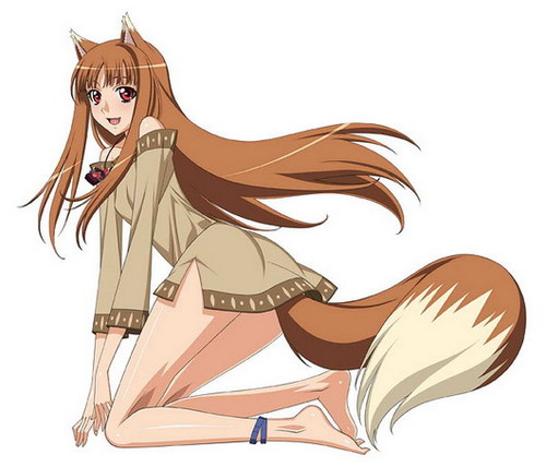 Holo the wise wolf