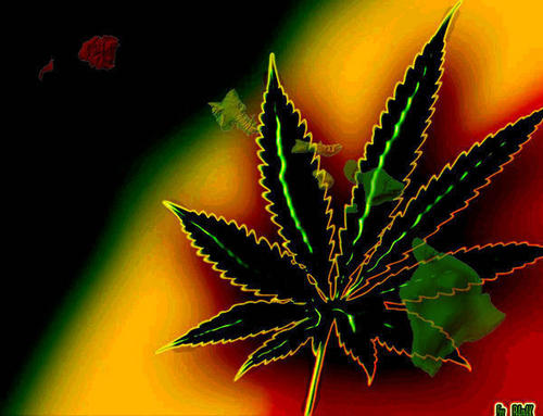 Jamaica марихуана какие тесты на коноплю