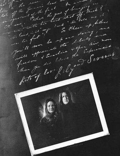  Severus and Lily