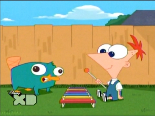  baby parry and phineas