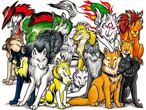  the serigala, wolf pack