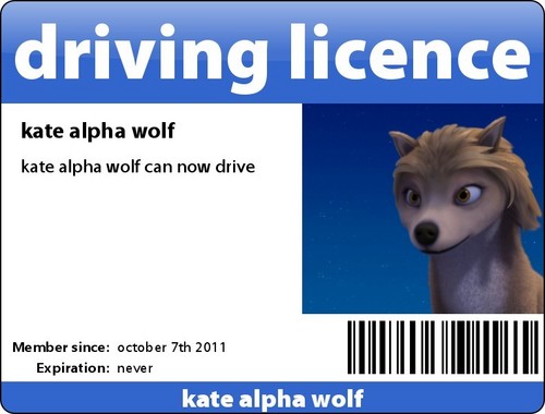  kates driving licence