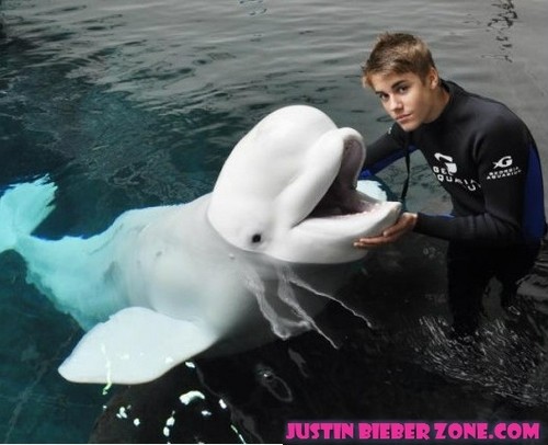  Justin Beiber in Bahamas with dolfijn