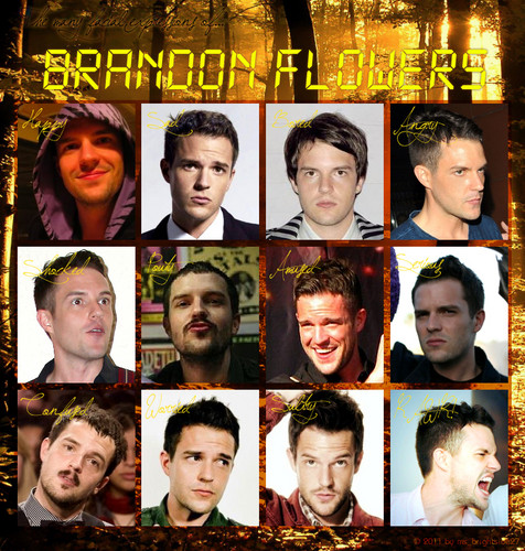  The many facial expressions of Brandon Flowers