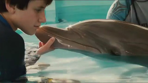  дельфин Tale