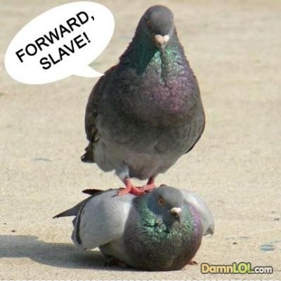 FORWARD SLAVE!