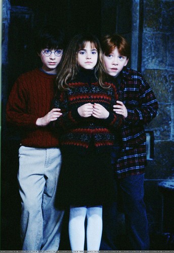  Harry Potter and the Philosopher's stone