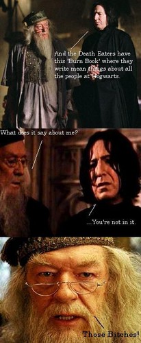  Harry Potter meets Mean Girls