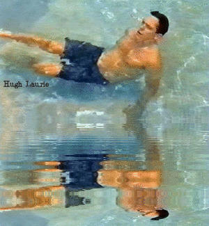  Hugh Laurie-gifs