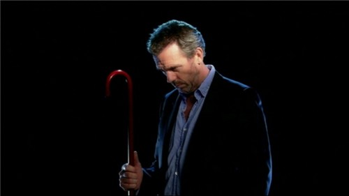  Hugh Laurie-promo лиса, фокс 2010