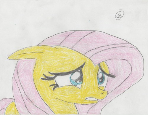 My drawing of fluttershy