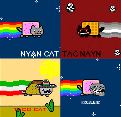  Nyan Cat Gif