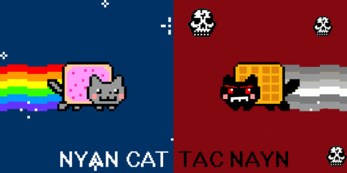  Tac Nayn & Nyan Cat Gif