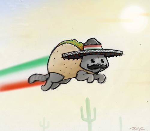  टैको, taco Cat