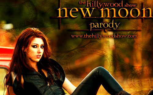  The Hillywood Show