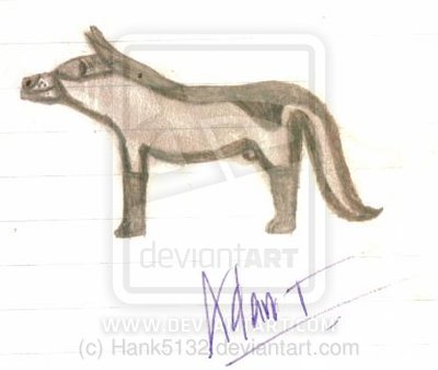  भेड़िया Sketch