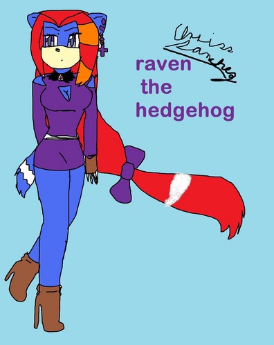  raven the hedgehog