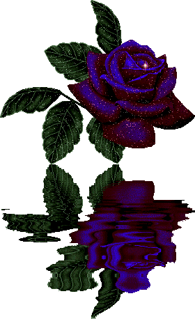  rose 3