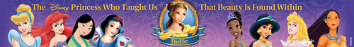  Disney Princees banner from birago