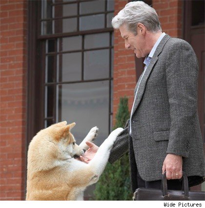  Hachi and the Professor