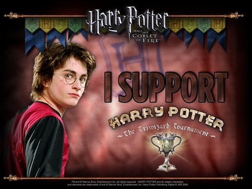  Harry Potter forever