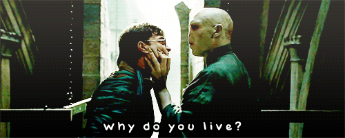  Harry & Voldemort
