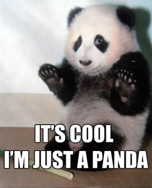 Its cool! im just a panda!