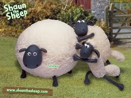  Shaun The mouton, moutons and Shirley