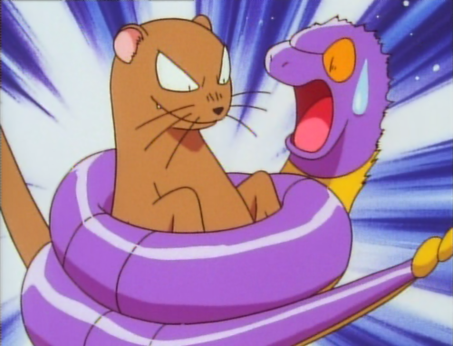 gastly as mongoose with ekans xD LOL