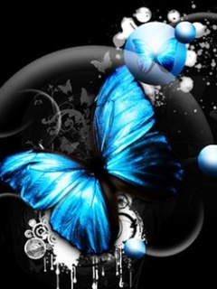  Blue borboleta