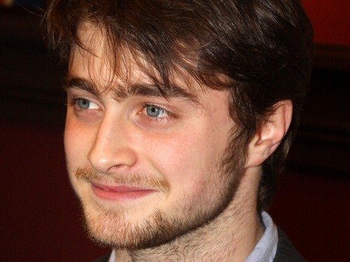  Daniel Radcliffe 바탕화면