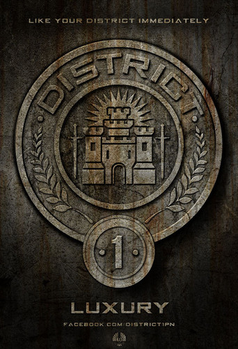  District 1 (luxury)