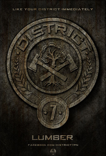  District 7 (Lumber)