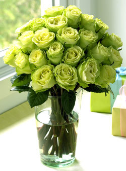 Green rosas