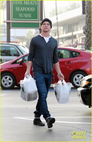 Josh Hartnett Goes Grocery Shopping