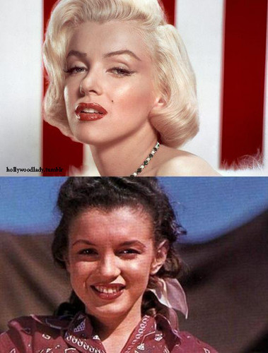  Marilyn Monroe Blonde / Brunette