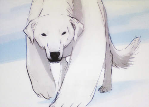 Naga, Korra's polar bear dog