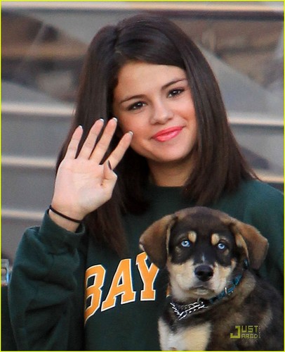  Selena Gomez Plays With Her New щенок