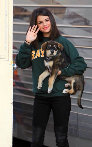  Selena adopted a puppy!!!(24 october)