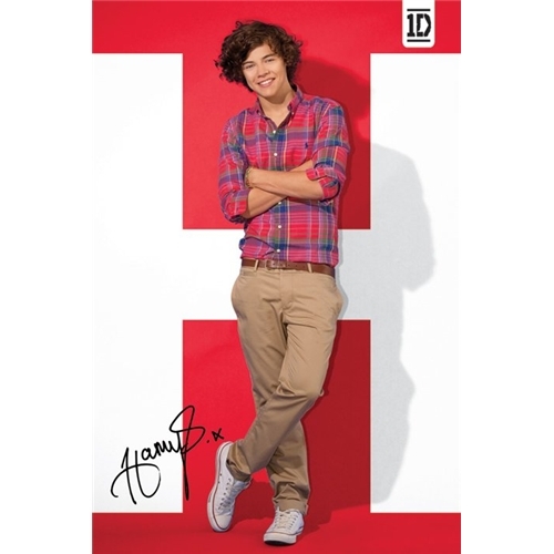 harry poster